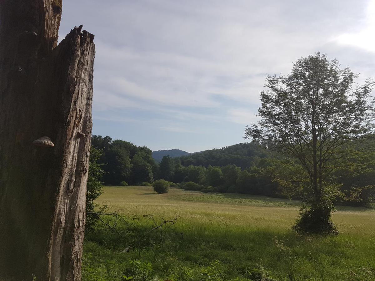 Ferienwohnungen.Ruhla Εξωτερικό φωτογραφία